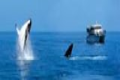 Fraser Coast Hervey Bay-Hervey Bay_Fraser_Coast.jpg
